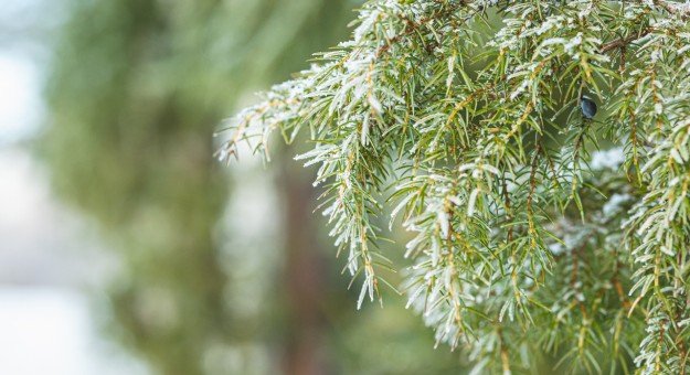 Keski-Suomen hyvinvointialueen poikkeavat aukioloajat jouluaikaan ja vuodenvaihteessa on julkaistu Hyvaks.fi-verkkosivuilla