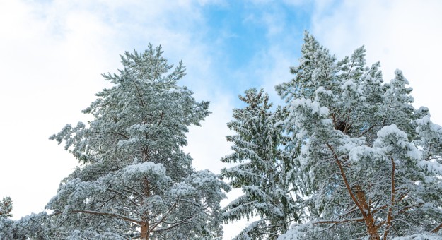 Poikkeavat aukioloajat talvilomaviikolla 23.2.–27.2.2026 