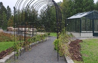 Käytävä ja kasvihuone puutarhamaisella pihamaalla