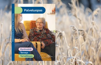 Oppaan kannen kuva upotettuna talvimaisemaan