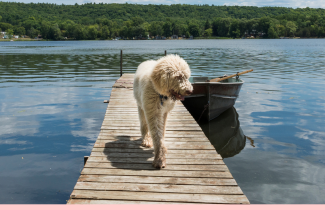 Hyvää ja turvallista juhannusta!