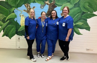 Huhtasuon neuvolan terveydenhoitajien yhteisöllinen työyhteisö