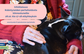 Pieni koira on ihmisen sylissä.