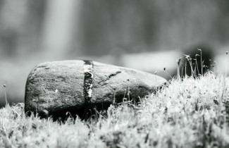 Mustavalkoinen kuva kivestä luonnossa.