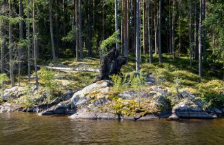 Keskisuomalainen luonto