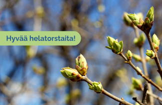 Puunoksia joissa vihreitä silmuja. Etuosassa teksti 'Hyvää helatorstaita!'