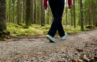 Metsäinen polku