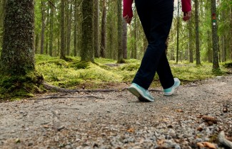 Metsäinen polku