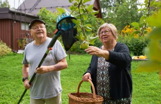 Senioripariskunta poimii omenoita puutarhassa, apuna haavi ja kori