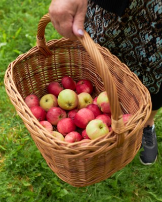 Kori, jossa on omenoita