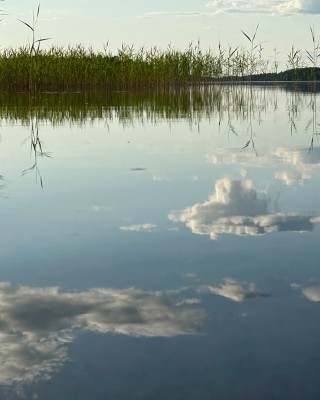 Pilviä ja kaislikkoa heijastuu järven pinnasta