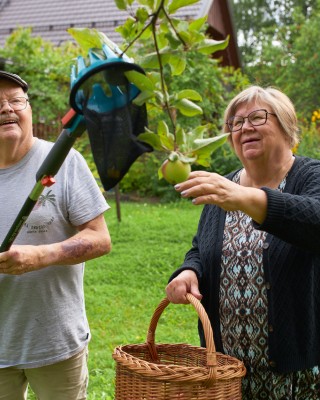iäkäs pariskunta poimii omenoita puusta