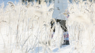 Henkilö kävelee heinikossa jäällä.