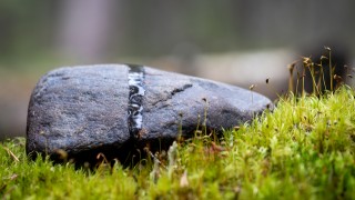 Harmaa pieni kivi vihreän sammaleen päällä