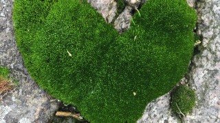 Uusi hyvinvointialuealoite.fi-verkkopalvelu edistää asukkaiden osallistumista hyvinvointialueen toimintaan  