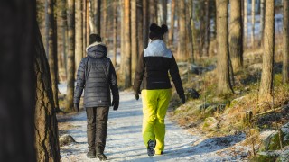 Kaksi henkilöä kävelee poispäåin keväisellä metsätiellä.