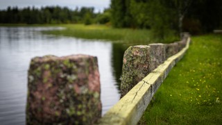 Järven rantamaisema.