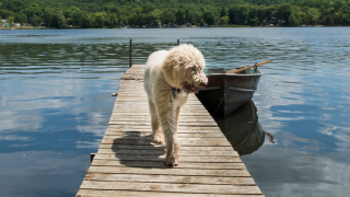 Hyvää ja turvallista juhannusta!