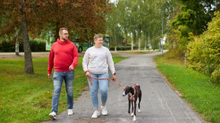 Kaksi aikuista ja koira lenkkeilevät syksyisissä maisemissa.