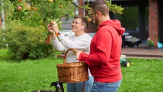 Kaksi aikuista pomivat omenoita talon pihalla koiran kanssa.