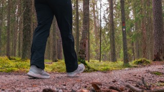 Keski-Suomi nostaa liikuntalääketieteen kansalliseen kärkeen – uudet tulokset korostavat elintapojen merkitystä eteisvärinän ehkäisyssä ja hoidossa