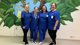 Huhtasuon neuvolan terveydenhoitajien yhteisöllinen työyhteisö