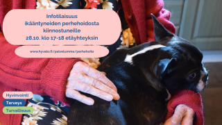 Pieni koira on ihmisen sylissä.