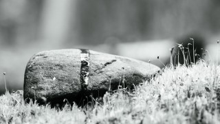 Mustavalkoinen kuva kivestä luonnossa.