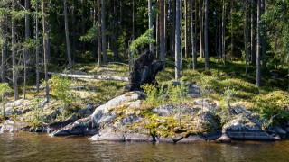 Keskisuomalainen luonto