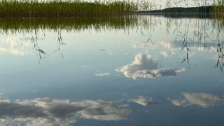 Keskisuomalainen järvimaisema