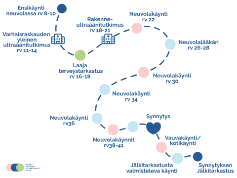Raskausajan digipolku
